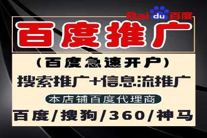 解析SEM投放策略：从经典案例看效果